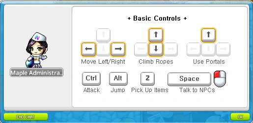 Basic controls diagram